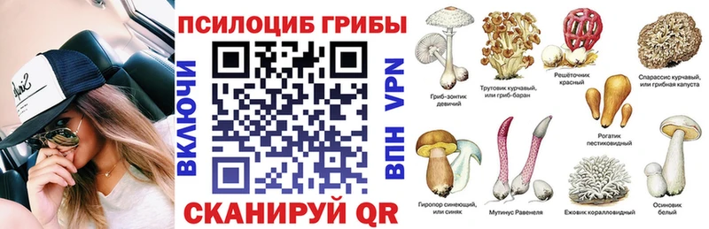 что такое наркотик  Среднеуральск  Псилоцибиновые грибы прущие грибы 